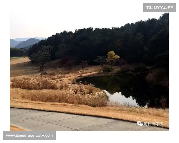 叶雷谈球场水障碍:12号洞与16号洞果岭前压力巨大 叶雷谈球场水障碍:12号洞与16号洞果岭前压力巨大